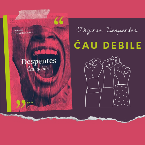 Přijdou dvě feministky a šovinista na internet…