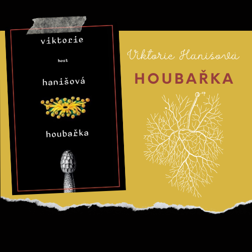 Mycelium jako rodinné vztahy. Nejsou na povrchu vidět, ale co z nich vyroste? Prašivka nebo hřib?